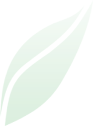 LifeStrategies Logo